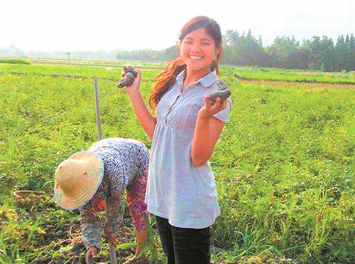 农村乡土人才让紫土豆充满“科技范儿”