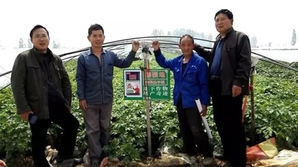 旭日“膨裂地”让马铃薯增产,不再是神话!
