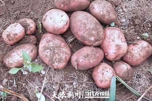 青岛农业大学凭“马铃薯挖掘收获装置”首获中国专利奖