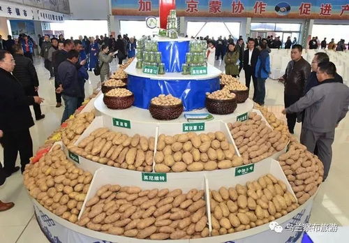 全市首届 中国农民丰收节 暨贫困旗县农畜产品进京销售产销对接会召开 现场签约金额2.36亿元