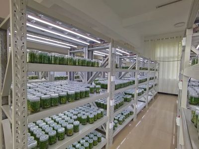 丽江人的骄傲!丽江这个农产品被推荐到了这几个国家.