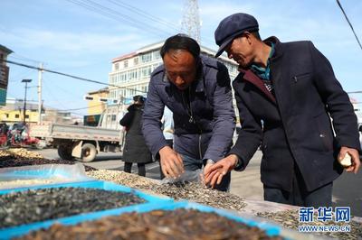 难以磨灭的家国记忆--访脱贫地标看新春年味